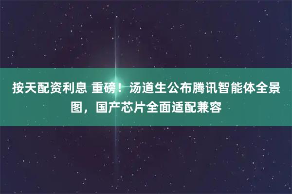 按天配资利息 重磅！汤道生公布腾讯智能体全景图，国产芯片全面适配兼容